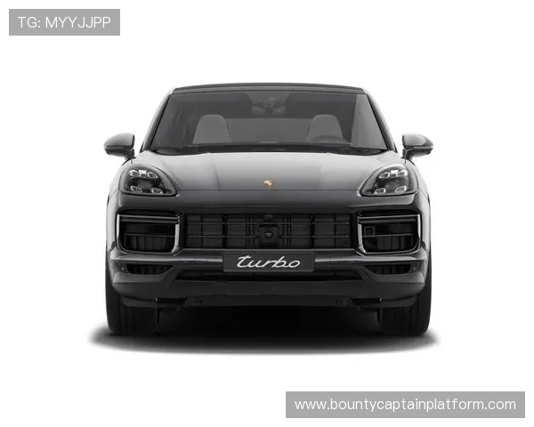 保时捷pg娱乐官网多平台兼容性分析，支持手机、平板和电脑多设备畅玩无障碍