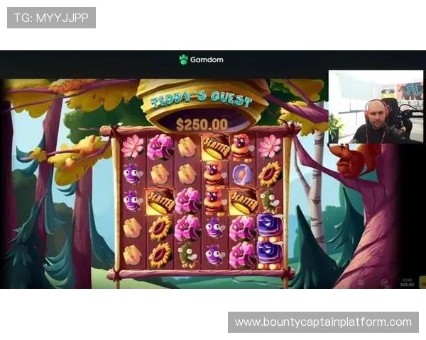 全面解析PG电子网址大全的安全性与稳定性,保障玩家游戏体验与资金安全